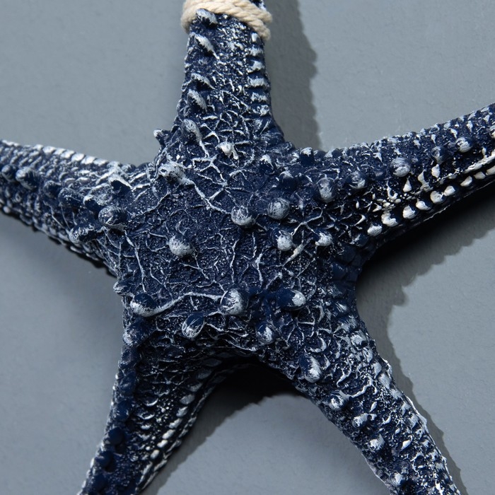 Сувенир интерьерный Сувенир интерьерный "Морская звезда" 16см