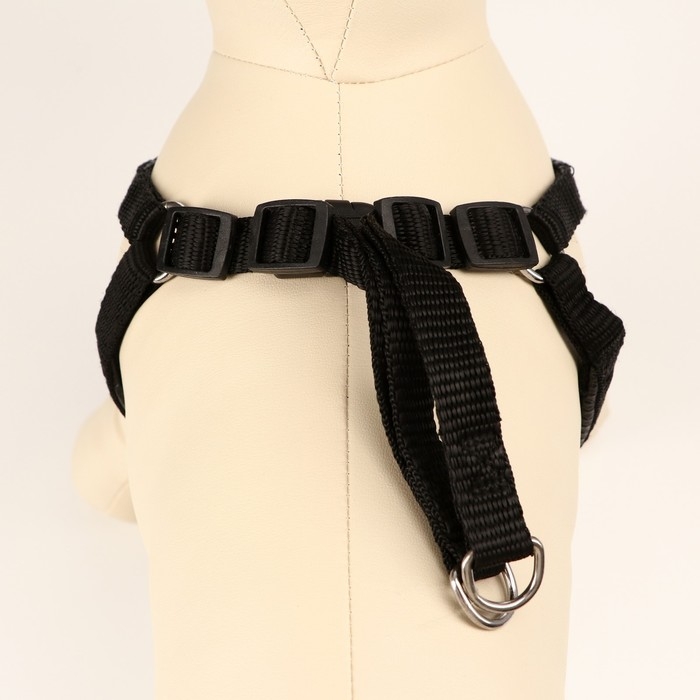 Шлейка Шлейка "Комфорт" комбинированная, 1,5 см, ОШ 36-50 см, ОГ 40-56 см, чёрная