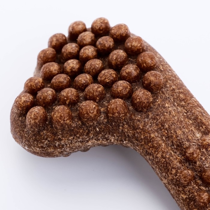 Игрушка для собак Игрушка для собак "Колючая кость", TPR+Бамбук, массажная,18 х 7