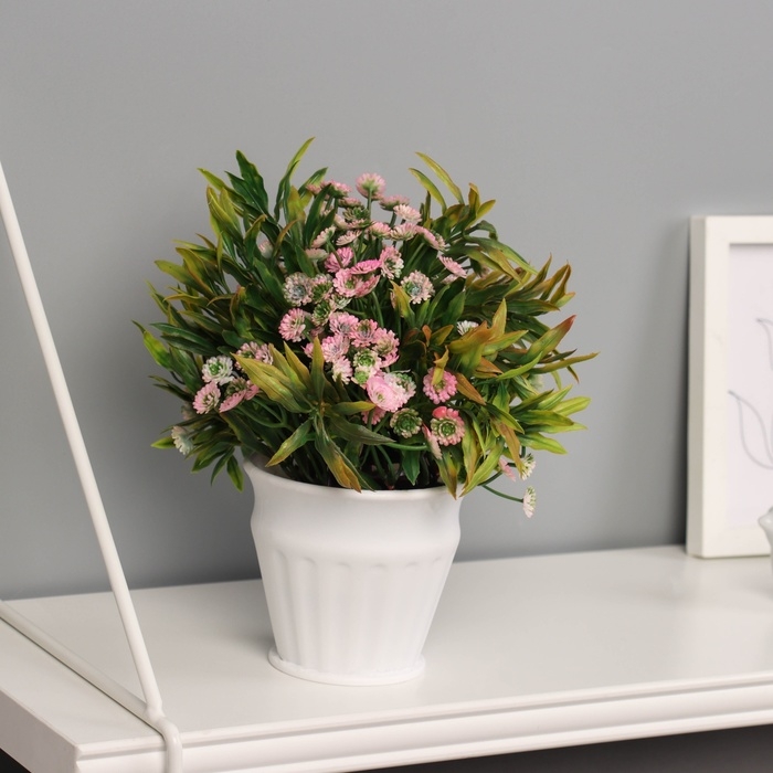 Бонсай в горшке Бонсай в горшке "Руэллия премиум" 19х9 см, микс