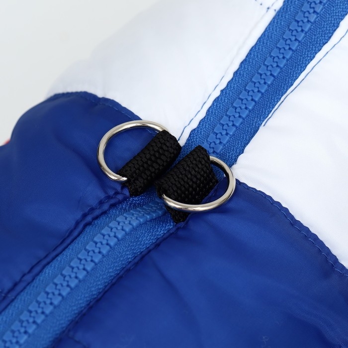 Куртка для собак  Куртка для собак "Патриот", размер XL (ДС 40, ОГ 60 см)