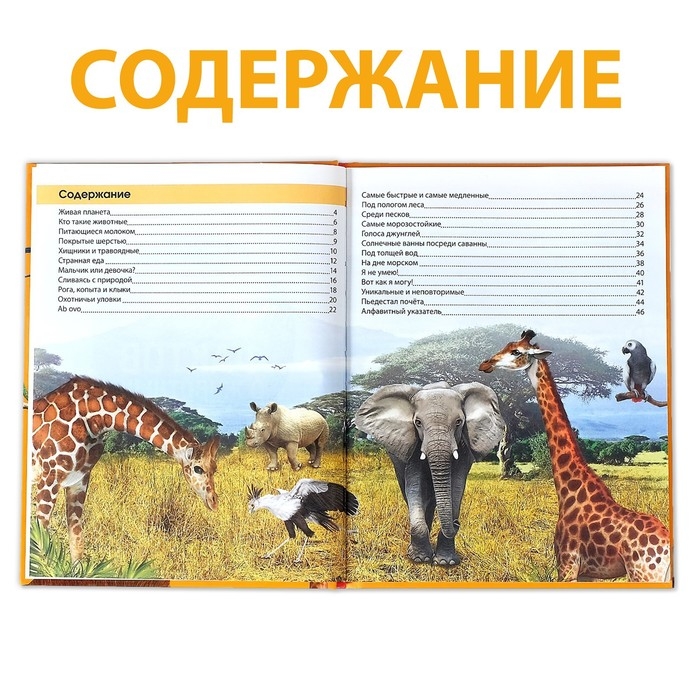 Энциклопедия «200 фактов о животных», 48 стр. Энциклопедия «200 фактов о животных», 48 стр.