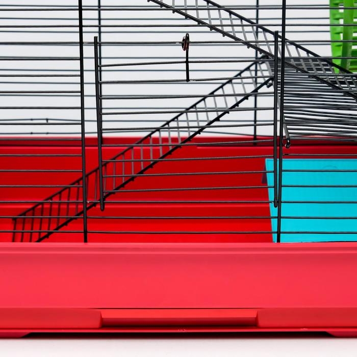 Клетка для грызунов Клетка для грызунов "Пижон" №5, с 3 этажами, укомплектованная, 41 х 30 х 58 см, рубиновая