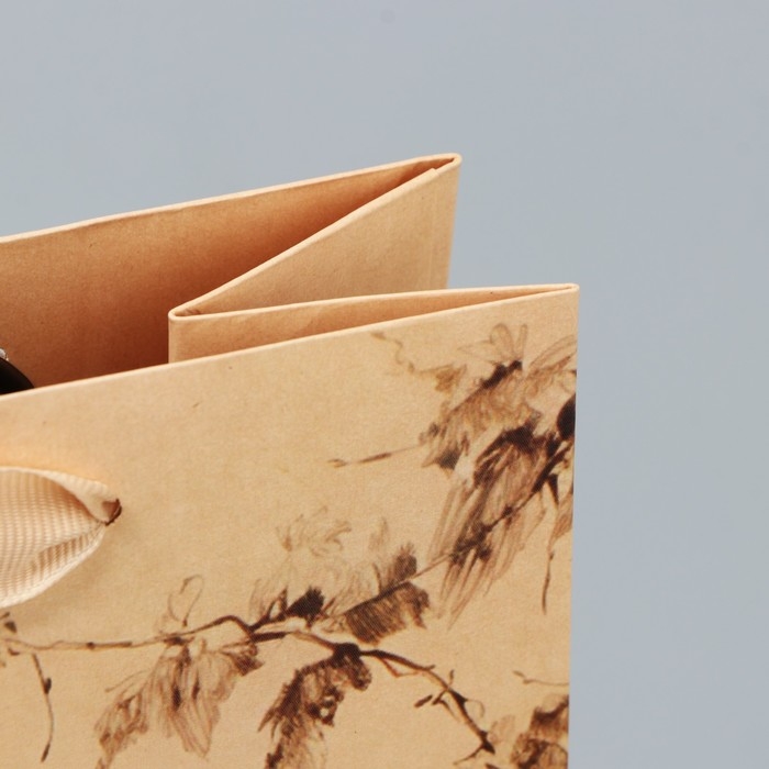 Пакет подарочный под две бутылки, упаковка, Winery, 35 х 20 х 9 см Пакет подарочный под две бутылки, упаковка, Winery, 35 х 20 х 9 см