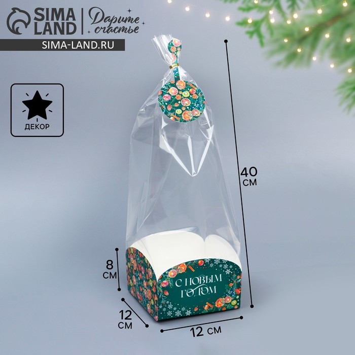 Пакет с коробкой «Новогодняя ботаника», 12 х 12 х 40 см, Новый год Пакет с коробкой «Новогодняя ботаника», 12 х 12 х 40 см, Новый год