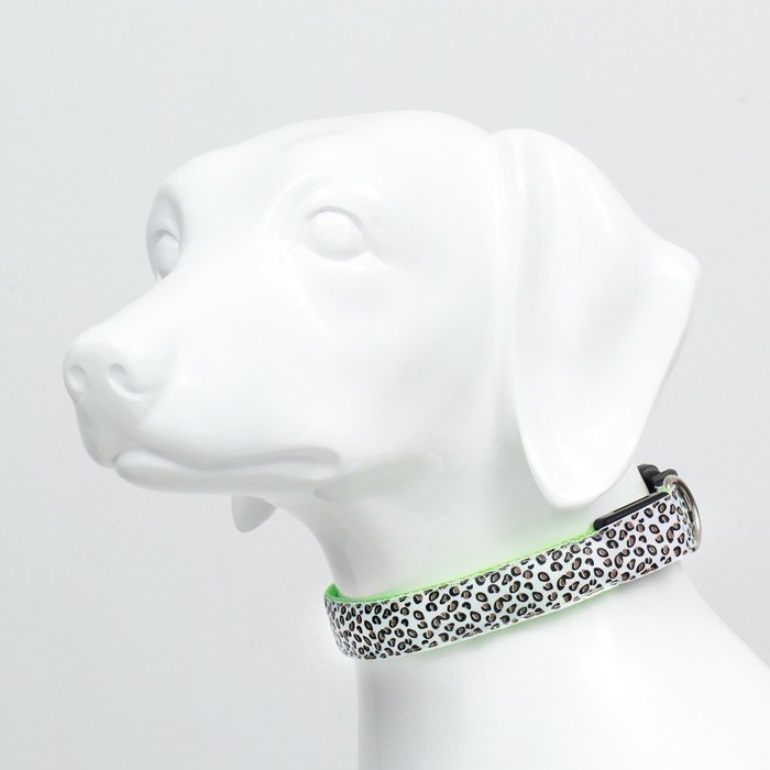 Ошейник с подсветкой Леопард 3 режима свечения размер XL, ОШ 60-70 х 2,5 см зелёный Ошейник с подсветкой Леопард 3 режима свечения размер XL, ОШ 60-70 х 2,5 см зелёный