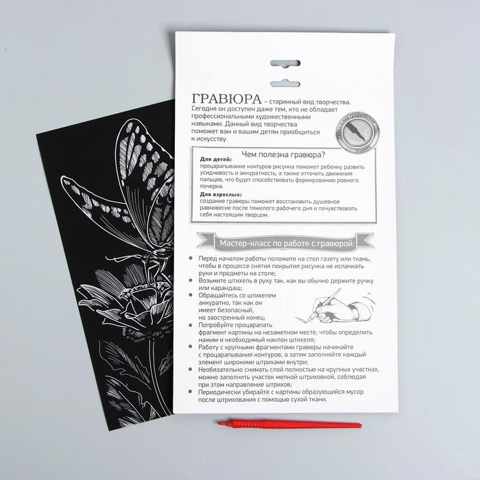 Гравюра на подложке «Бабочка на цветке» с металлическим эффектом «серебро» А4 Гравюра на подложке «Бабочка на цветке» с металлическим эффектом «серебро» А4