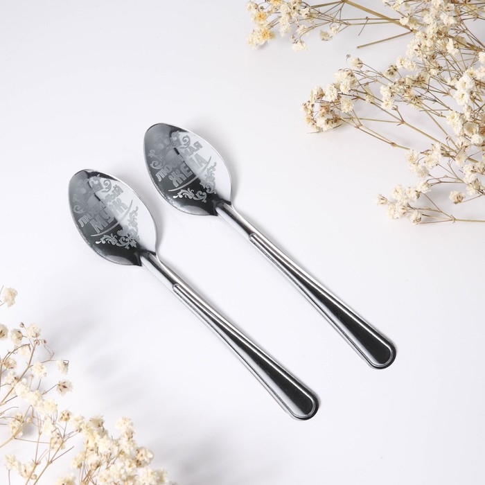 Ложки с гравировкой, набор 2 шт  &laquo;Счастливой паре&raquo;, 15,5 х 25,5 см.