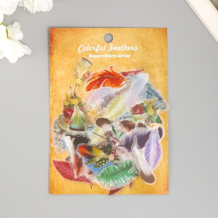 Наклейки для творчества пластик PVC Наклейки для творчества пластик PVC "Яркие перья" набор 60 шт 10х14 см