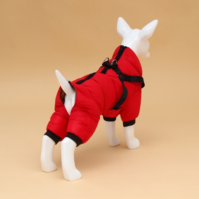 Комбинезон для собак со шлейкой Комбинезон для собак со шлейкой "Моден", размер 14 (ДС 32, ОГ 42, ОШ 31 см), красный