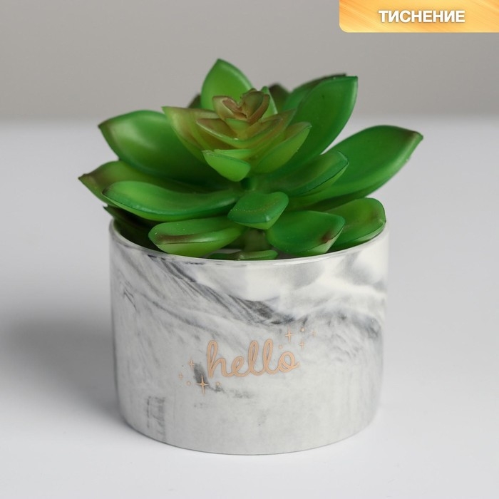 Горшок для цветов керамический, кашпо «Счастье» 5,5 х 8 см Горшок для цветов керамический, кашпо «Счастье» 5,5 х 8 см