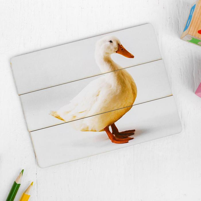 Разрезные картинки «Домашние животные» МИКС Разрезные картинки «Домашние животные» МИКС