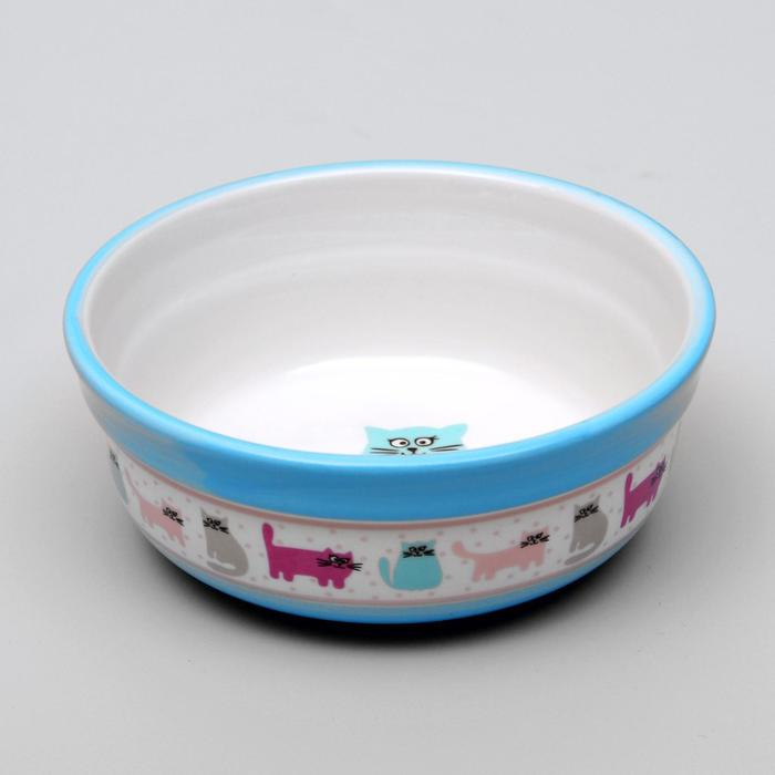 Миска керамическая  Миска керамическая "Кошачья жизнь" 300 мл  12,7 х 5 см, голубая