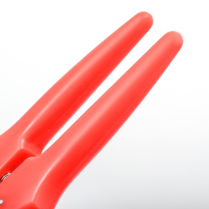 Когтерез боковой большой с прямыми ручками, 16,2 х 5,5 х 1,3 см, эконом, микс цветов Когтерез боковой большой с прямыми ручками, 16,2 х 5,5 х 1,3 см, эконом, микс цветов