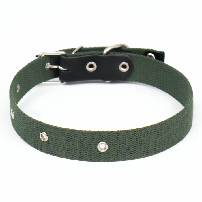 Ошейник брезентовый однослойный, 66 х 3 см, ОШ 33-60 см, тёмно-зелёный Ошейник брезентовый однослойный, 66 х 3 см, ОШ 33-60 см, тёмно-зелёный
