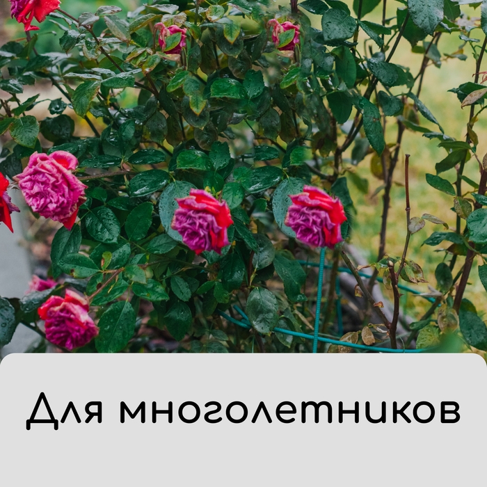 Чехол для растений, трапеция на шнурках, 100 × 80 см, спанбонд с УФ-стабилизатором, плотность 60 г/м² Чехол для растений, трапеция на шнурках, 100 × 80 см, спанбонд с УФ-стабилизатором, плотность 60 г/м²