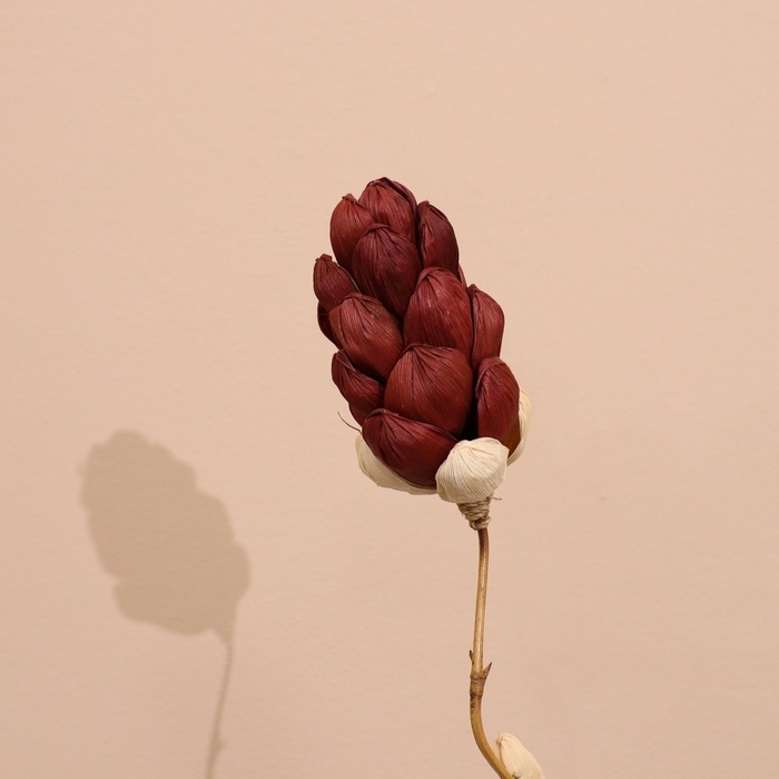 Сухоцвет на бамбуковом стебле 150 см фиолетовый Сухоцвет на бамбуковом стебле 150 см фиолетовый