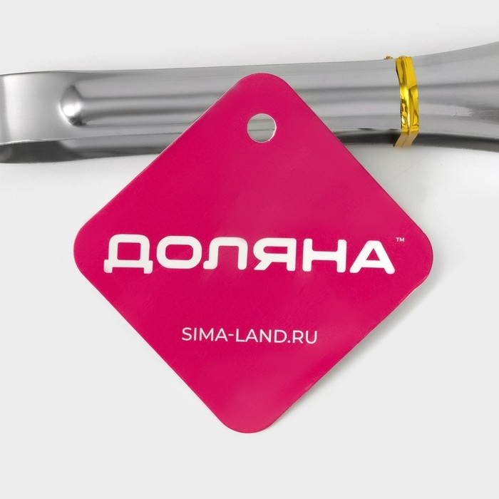 Щипцы кухонные с перфорацией Доляна, 201 сталь, 18 см, цвет серебристый Щипцы кухонные с перфорацией Доляна, 201 сталь, 18 см, цвет серебристый