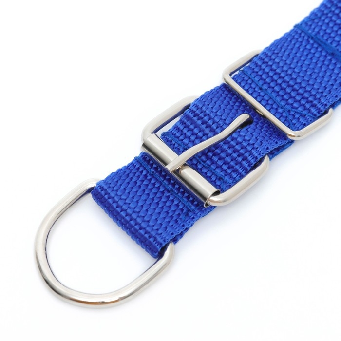 Ошейник Ошейник "Комфорт" комбинированный, 55 х 2,5 см, ОШ 40-50 см, синий