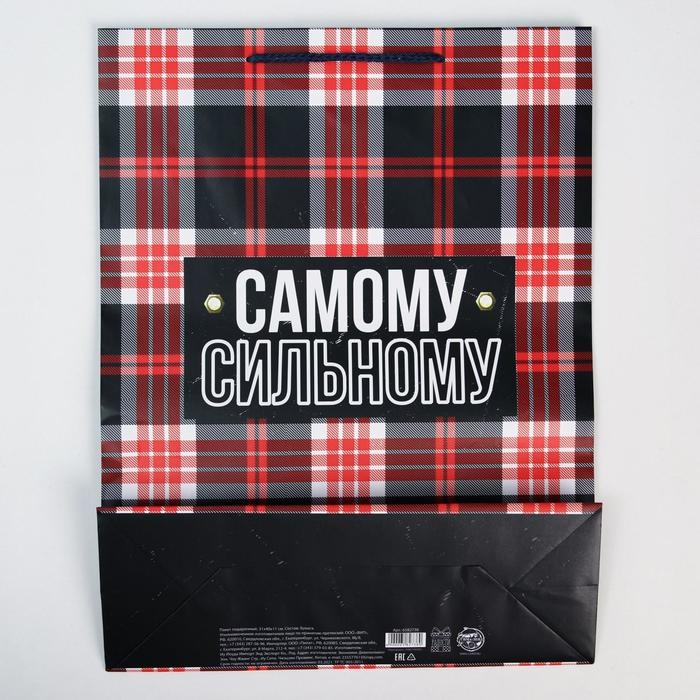 Пакет подарочный ламинированный, упаковка, Real strong, L 28 х 38 х 9 см Пакет подарочный ламинированный, упаковка, Real strong, L 28 х 38 х 9 см