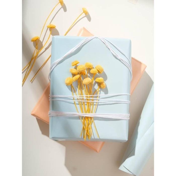 Сухоцвет «Батао» набор 20 шт., цвет жёлтый Сухоцвет «Батао» набор 20 шт., цвет жёлтый