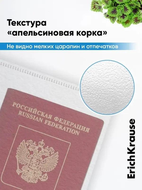 Папка-конверт на ZIP-молнии Travel (255&times;130 мм), 120 мкм, ErichKrause Fizzy Clear, с цветной молнией, микс, до 100 листов