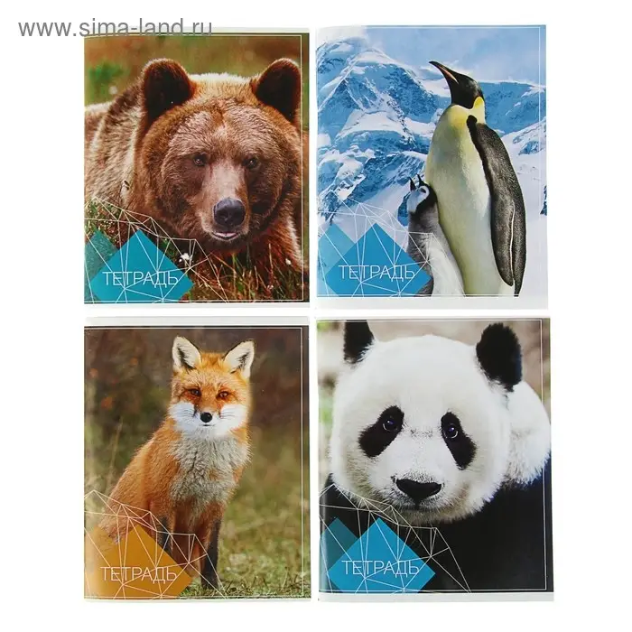 Тетрадь 96 листов в клетку Calligrata «Животные», обложка мелованный картон, блок №2, белизна 75% (серые листы), МИКС