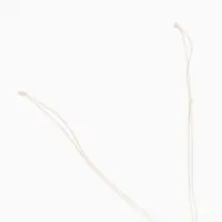 Браслет на ногу, анклет, длина 20 см, белый Браслет на ногу, анклет, длина 20 см, белый