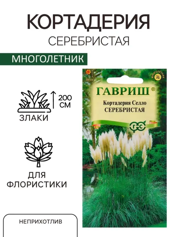 Семена Кортадерия Серебристая Семена Кортадерия Серебристая "Пампасная трава", ц/п, 0,01 гр.