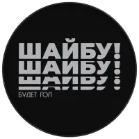 Шайба хоккейная Winter Star, взрослая, d=7.6 см
