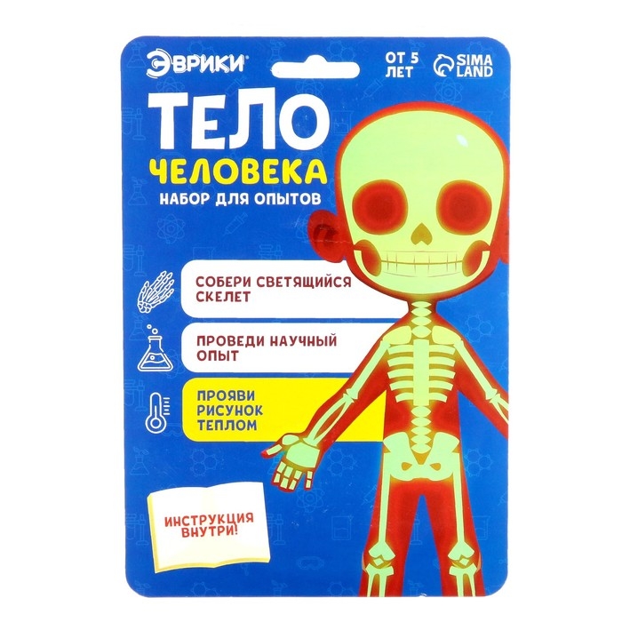 Набор для опытов «Тело человека», светится в темноте Набор для опытов «Тело человека», светится в темноте