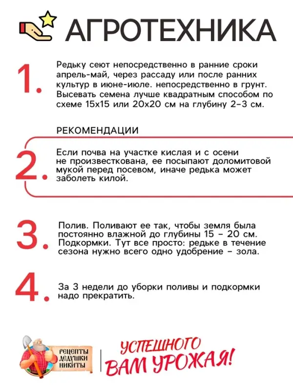 Семена Редька  Семена Редька "Зимняя круглая чёрная", среднеспелая, 1 г