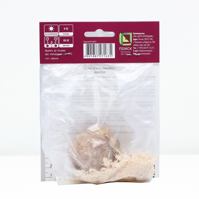 Калла белопятнистая, р-р 14/16, 1 шт, Весна 2025 Калла белопятнистая, р-р 14/16, 1 шт, Весна 2025