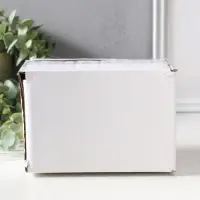 Фигурка полистоун лак &laquo;Совята пухлики&raquo;, 10.5&times;6.3&times;8 см