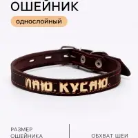 Ошейник кожаный однослойный, тиснёный &laquo;Лаю. Кусаю&raquo;, 48&times;2, ОШ 32-43 см, коричневый с золотом