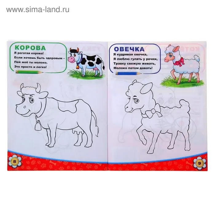 Раскраска детская &laquo;Домашние животные&raquo;, 12 стр.