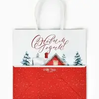 Набор пакетов крафтовых «Новогодний», 10 шт, 22 × 22 × 11 см Набор пакетов крафтовых «Новогодний», 10 шт, 22 × 22 × 11 см