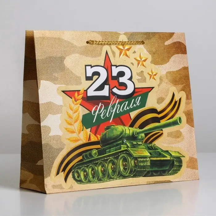 Пакет подарочный ламинированный, упаковка, &laquo;С 23 февраля&raquo;, ML 25&times;21&times;8 см