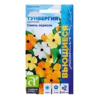 Семена Тунбергия "Смесь окрасок", ц/п, 0,2гр. Семена Тунбергия "Смесь окрасок", ц/п, 0,2гр.
