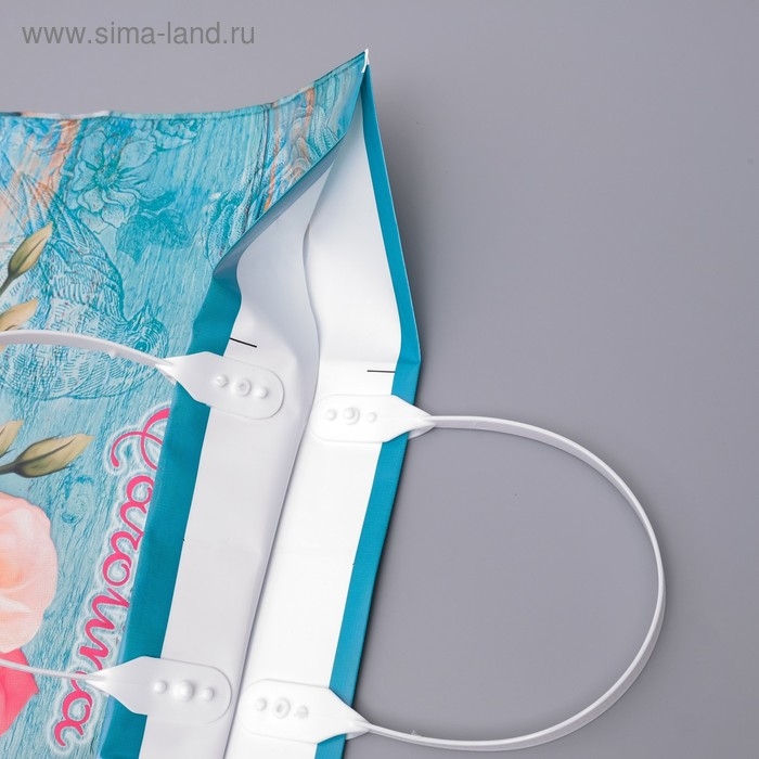 Пакет Пакет "Каролина", полиэтиленовый с пластиковой ручкой, 80 мкм , 37 х 34 см