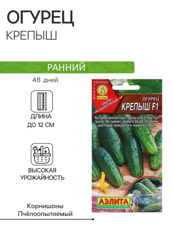 Семена Огурец "Крепыш" F1, раннеспелый, пчелоопыляемый, 10 шт