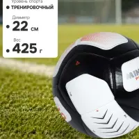 Футбольный мяч Minsa FB500 THB, термосклейка, 12 панелей, размер 5