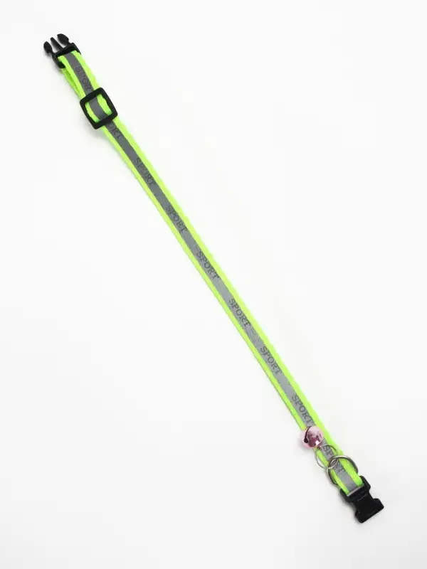 Ошейник Ошейник "Спорт" со светоотражающей полосой, 31 х 1 см, зелёный