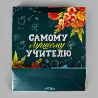 Пакеты подарочные &laquo;Учителю&raquo;, набор 3 шт., 26&times;30&times;9 см