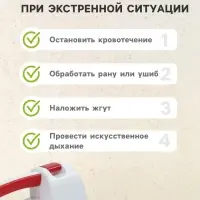 Аптечка для оказания первой помощи работникам &laquo;ФЭСТ&raquo;, футляр №2, приказ 262н