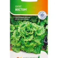 Семена Салат "Восторг" 0,3 г Семена Салат "Восторг" 0,3 г