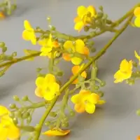 Цветы искусственные "Вероника Георгия" 92 см, жёлтый