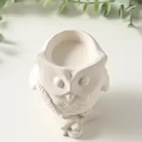 Подставка для мелочей &laquo;Сова на книгах с пером&raquo;, 10&times;8 см, гипс