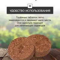 Набор для рассады: торфяная таблетка d=4.1 см, 12 шт., кассета на 12 ячеек по 40 мл, поддон 20.5&times;17 см, зелёный, пластик, Экоторф
