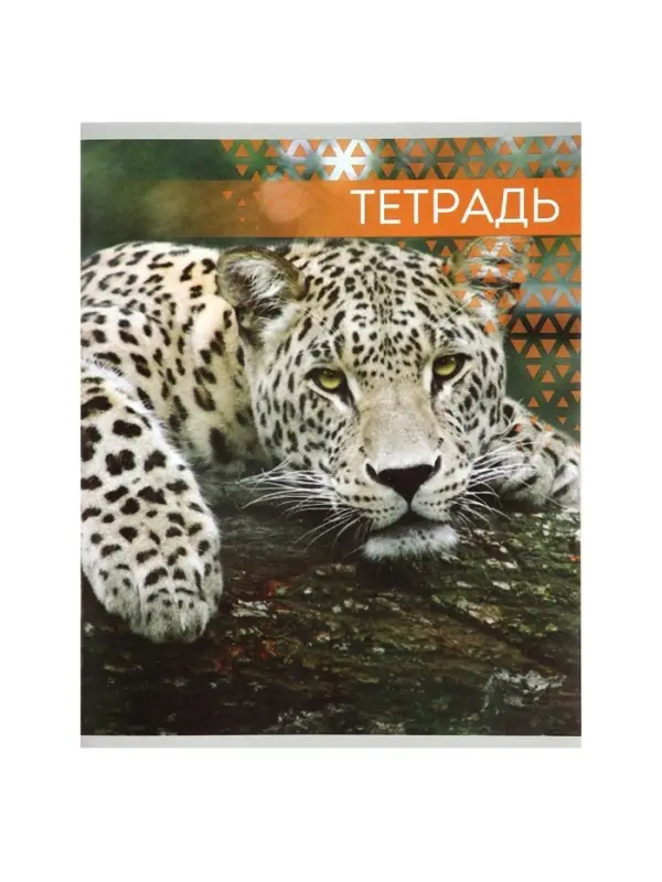 Тетрадь &laquo;Дикие кошки&raquo;, 48 листов, в клетку, МИКС